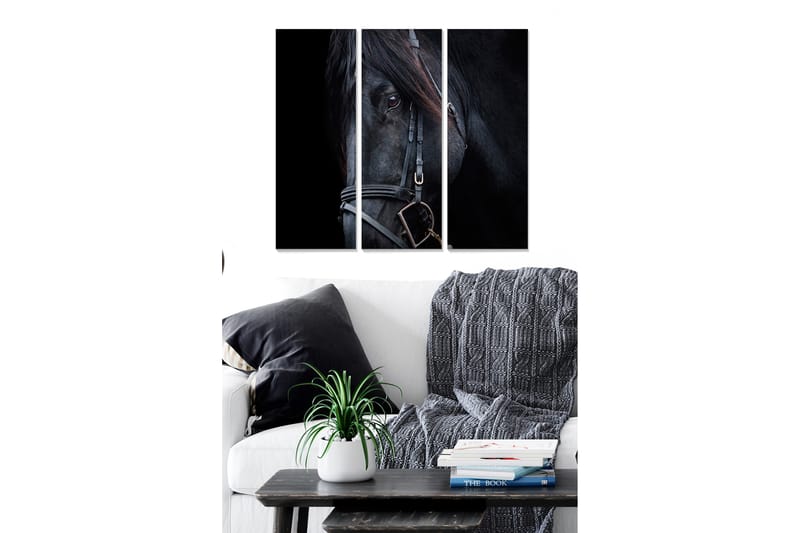 Puinen canvastaulu, 3 osaa, 50x70 cm - Mustan hevosen muotokuva, jossa keskitytään silmiin, Musta / Harmaa / Ruskea