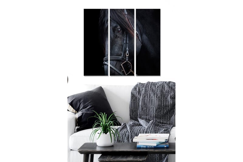 Puinen canvastaulu, 3 osaa, 50x70 cm - Mustan hevosen muotokuva, jossa keskitytään silmiin, Musta / Harmaa / Ruskea
