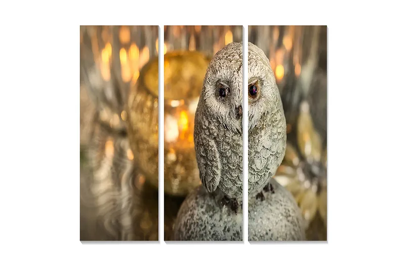 Puinen canvastaulu, 3 osaa, 50x70 cm - Realistinen pöllö harmaan sävyissä, Harmaa / Beige / Ruskea