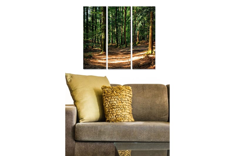 Puinen canvastaulu, 3 osaa, 50x70 cm - Rehevä metsä ja aurinkoiset polut, Vihreä / Ruskea / Keltainen