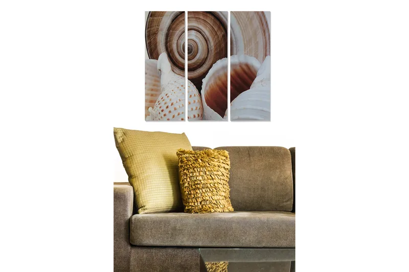 Puinen canvastaulu, 3 osaa, 50x70 cm - Simpukankuoria yksityiskohtaisilla kuvioilla ja luonnollisilla muodoilla - Valkoinen / Beige / Ruskea - Sisustustuotteet - Taulu & taide - Canvas-taulu