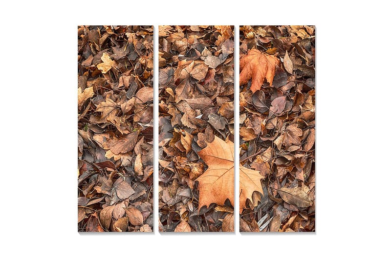 Puinen canvastaulu, 3 osaa, 50x70 cm - Syksyn lehdet eri ruskean ja oranssin sävyissä, Ruskea / Oranssi / Beige