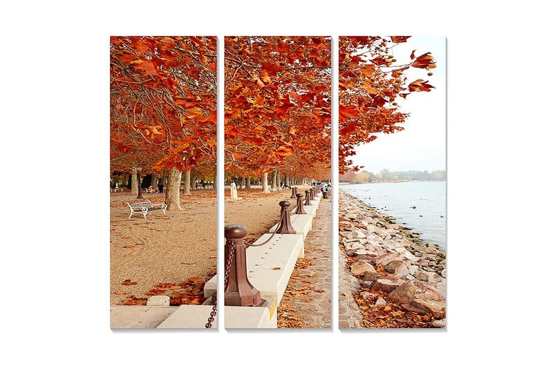 Puinen canvastaulu, 3 osaa, 50x70 cm - Syysmaisema kultaisten lehtipuiden kanssa rantakadulla, Oranssi / Ruskea / Beige