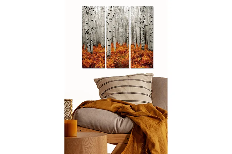 Puinen canvastaulu, 3 osaa, 50x70 cm - Syysmetsä valkoisilla koivuilla ja oransseilla saniaisilla, Valkoinen / Oranssi