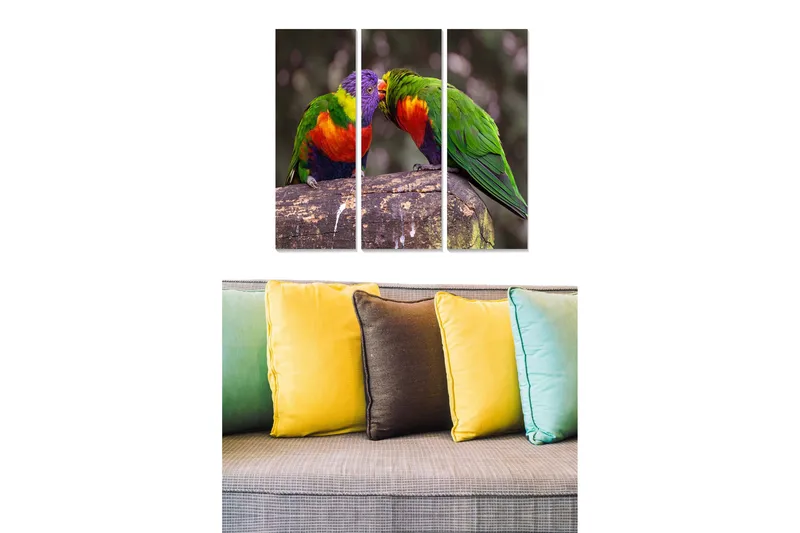 Puinen canvastaulu, 3 osaa, 50x70 cm - Värikkäät papukaijat vuorovaikuttavat oksalla, Vihreä / Punainen / Violetti