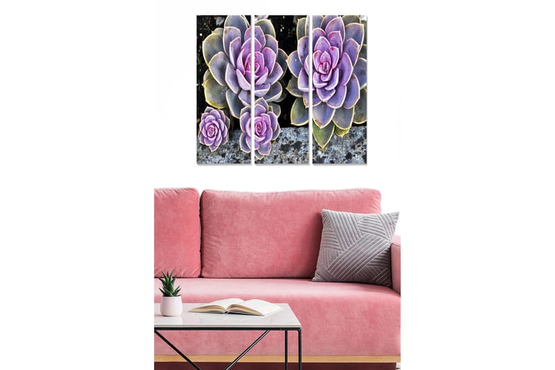 Puinen canvastaulu, 3 osaa, 50x70 cm - Värikkäitä mehikasveja eri sävyissä, Violetti / Vihreä / Harmaa