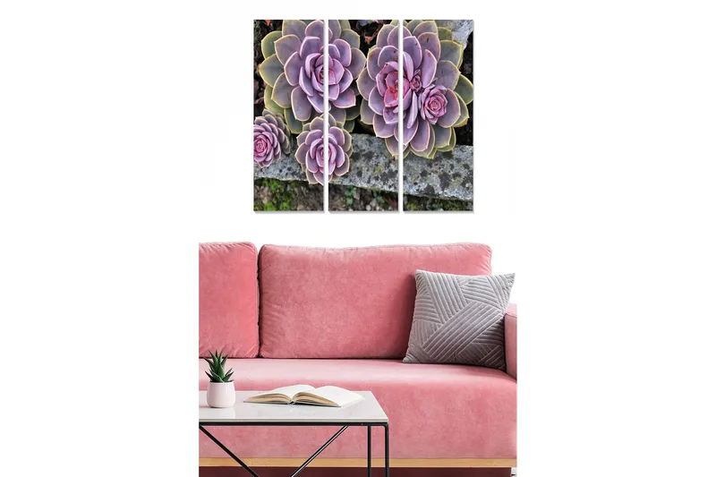 Puinen canvastaulu, 3 osaa, 50x70 cm - Värikkäitä mehikasveja eri sävyissä, Violetti / Vihreä / Vaaleanpunainen