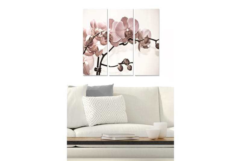 Puinen canvastaulu, 3 osaa, 50x70 cm - Vaaleanpunaiset orkideat tyylikkäällä taustalla, Vaaleanpunainen / Beige / Ruskea