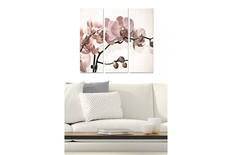 Puinen canvastaulu, 3 osaa, 50x70 cm - Vaaleanpunaiset orkideat tyylikkäällä taustalla, Vaaleanpunainen / Beige / Ruskea
