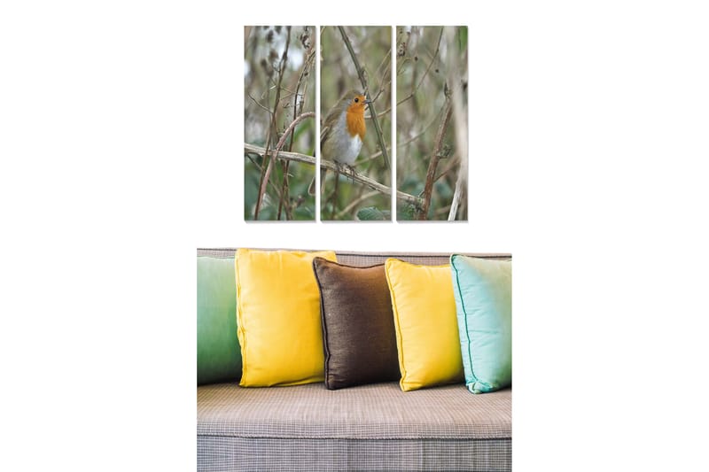 Puinen canvastaulu, 3 osaa, 50x70 cm - Punarinta oksalla vihreyden ympäröimänä, Vihreä / Oranssi / Ruskea