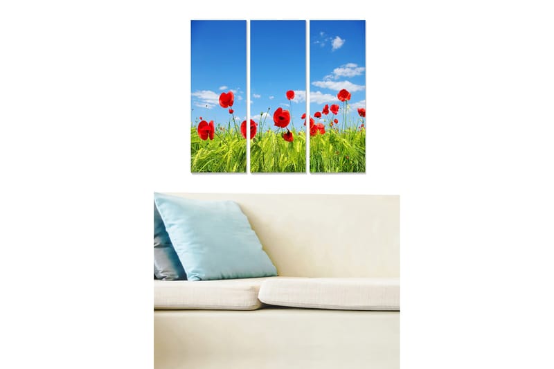 Puinen canvastaulu, 3 osaa, 50x70 cm - Punaisia unikkoja vihreällä niityllä kirkkaan sinisen taivaan alla, Punainen / Vihreä / Sininen