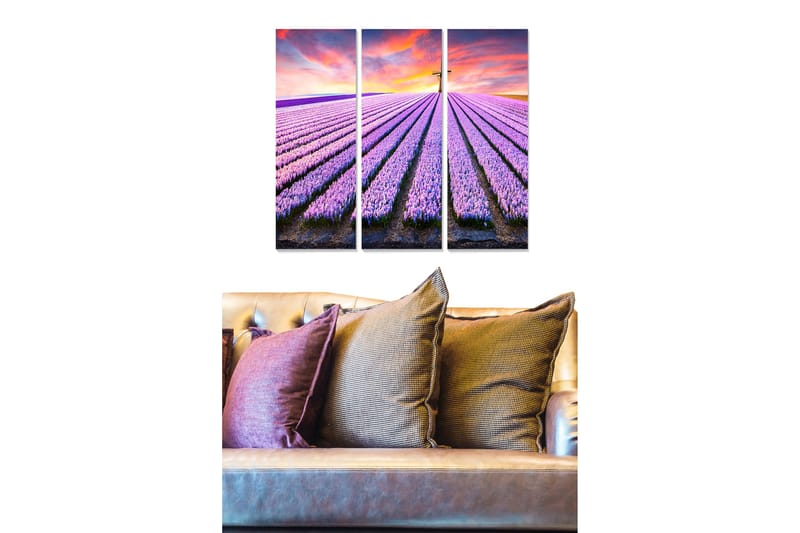 Puinen canvastaulu, 3-osainen, 50x70 cm - Laventelipellot värikkään taivaan alla, Violetti / Vihreä / Oranssi