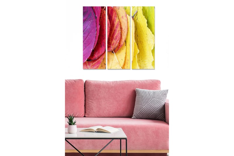 Puinen canvastaulu, 3-osainen, 50x70 cm - Värikkäät syksyn lehdet eri sävyissä, Vaaleanpunainen / Keltainen / Vihreä