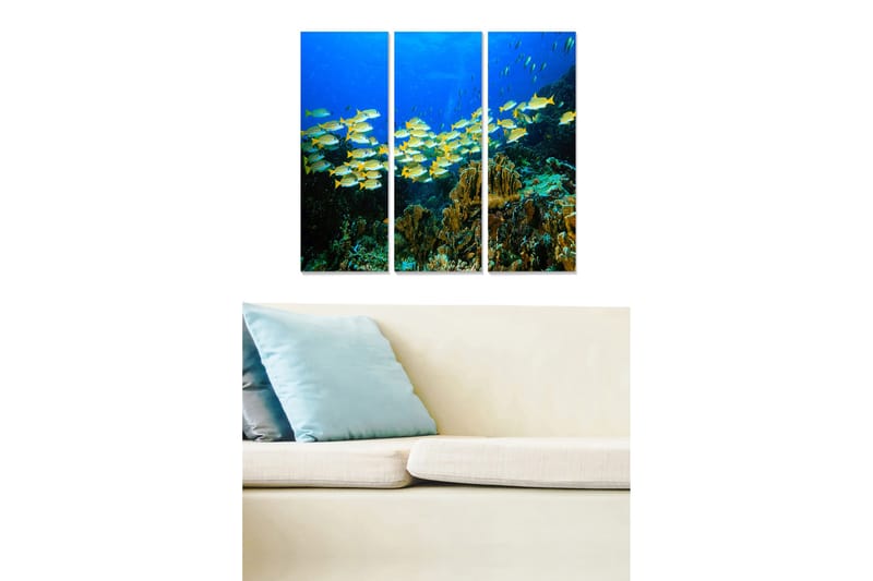 Puinen canvastaulu, 3-osainen, 50x70 cm - Värikkäiden kalojen parvi koralliriutan syvyyksissä, Sininen / Keltainen / Vihreä
