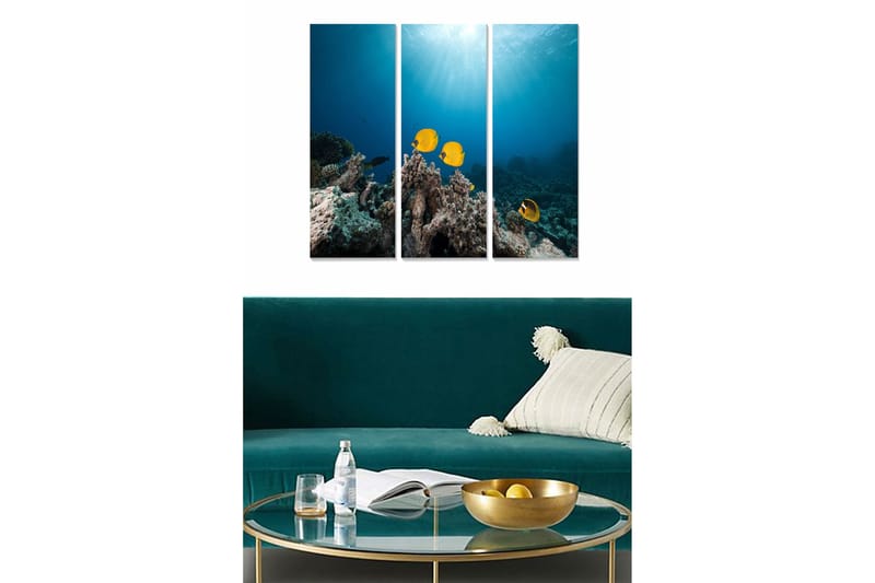 Puinen canvastaulu, 3-osainen, 50x70 cm - Värikkäitä kaloja koralliriutan yllä, Sininen / Keltainen / Harmaa