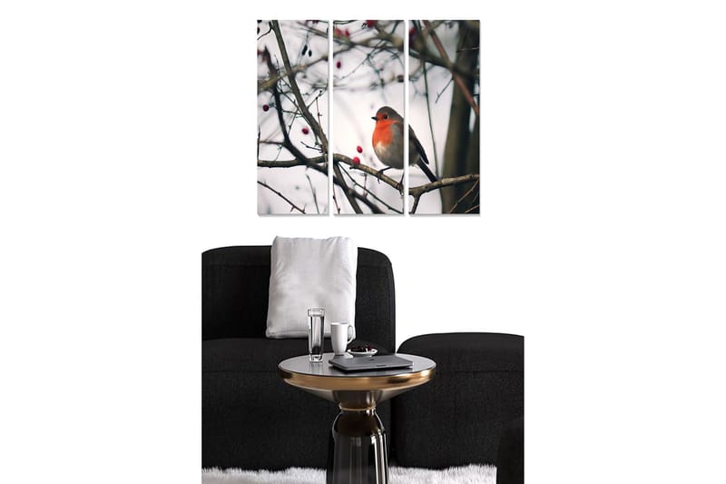Puinen canvastaulu, 3-osainen, 50x70 cm - Punarintainen lintu oksalla marjojen kanssa, Harmaa / Punainen / Ruskea