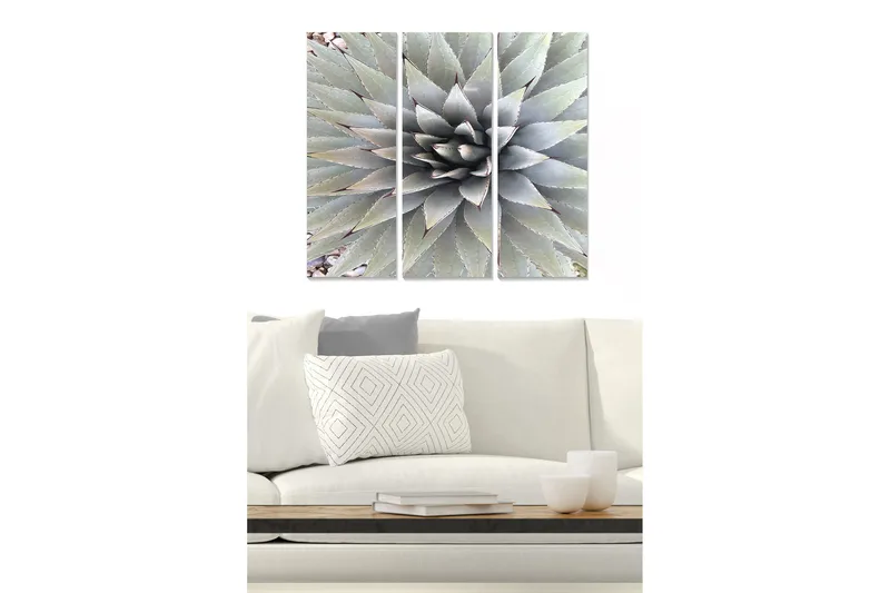 Puutaulu, 3-osainen, 50x70 cm - Symmetrinen agaave-lehtien sommittelu - Vihreä / Harmaa / Beige - Sisustustuotteet - Taulu & taide - Canvas-taulu