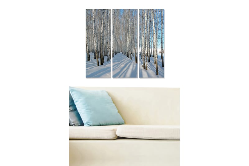 Puutaulu, 3-osainen, 50x70 cm - Talvimaisema koivuilla lumessa - Valkoinen / Sininen - Sisustustuotteet - Taulu & taide - Canvas-taulu