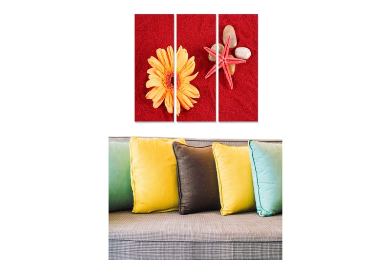 Puutaulu, 3-osainen, 50x70 cm - Värikäs sommitelma, jossa kukka ja simpukoita punaisella taustalla, Punainen / Keltainen / Beige