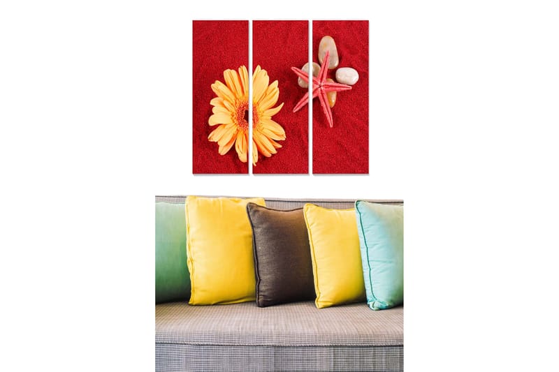 Puutaulu, 3-osainen, 50x70 cm - Värikäs sommitelma, jossa kukka ja simpukoita punaisella taustalla, Punainen / Keltainen / Beige