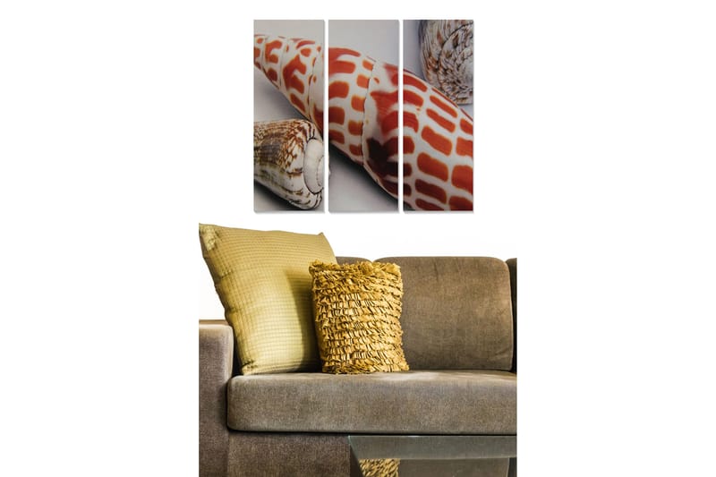 Puutaulu, 3-osainen, 50x70 cm - Värikkäät simpukankuoret yksityiskohtaisessa sommitelmassa, Punainen / Beige / Ruskea