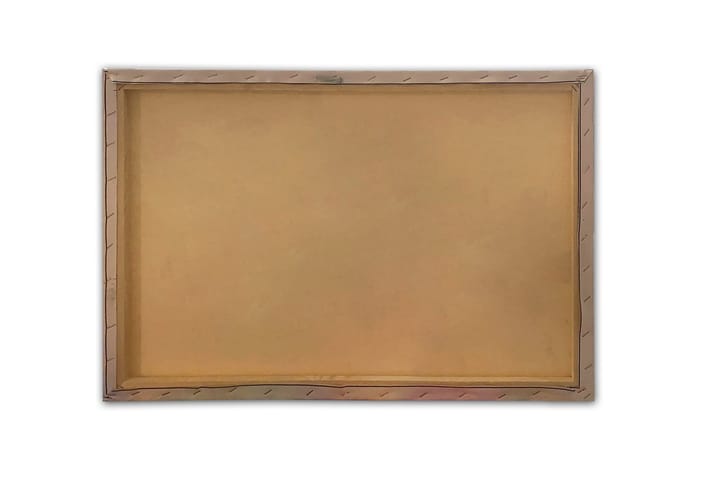 Seinäkoriste Canvas Maalaus - 70x50 cm - Canvas-taulu - Seinäkoristeet