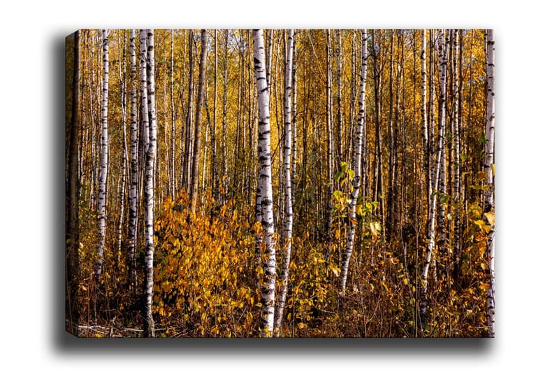 Seinäkoriste Canvas Maalaus - Canvas-taulu - Seinäkoristeet