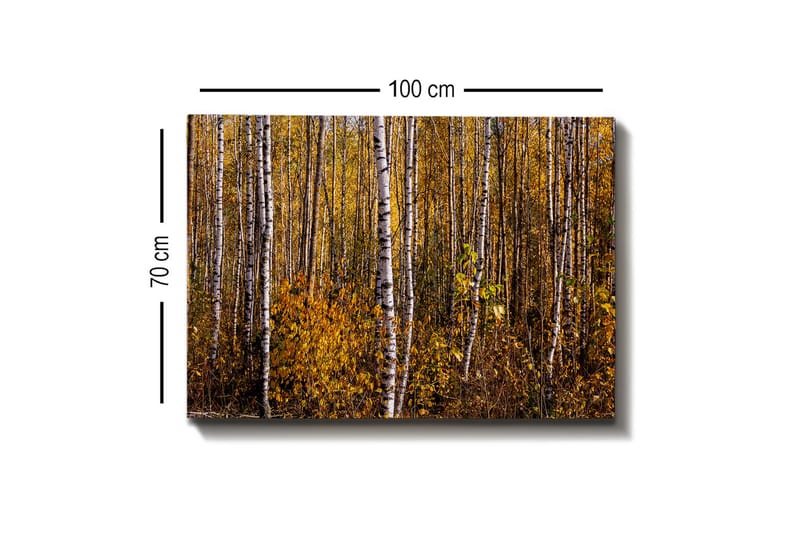 Seinäkoriste Canvas Maalaus - Sisustustuotteet - Taulu & taide - Canvas-taulu