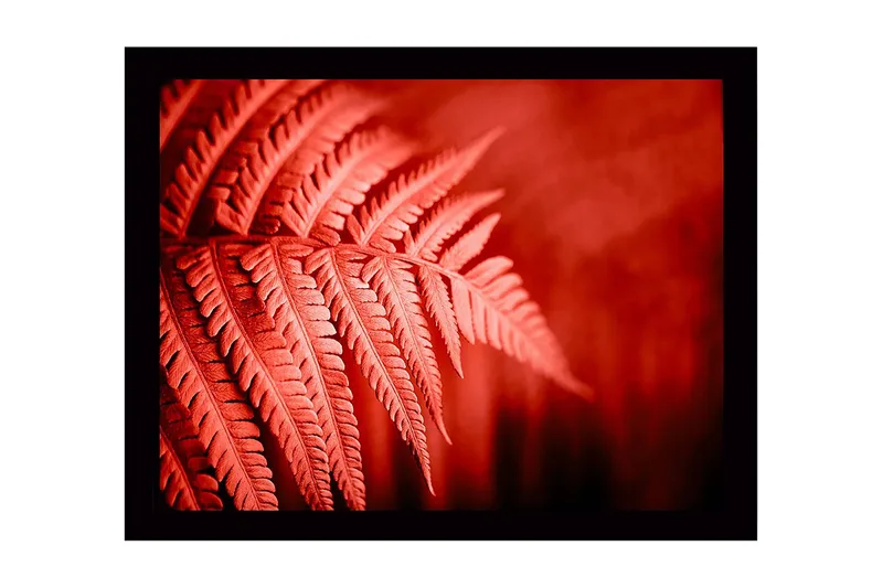 Seinäkoriste Kehystetty MDF Maalaus, undefined