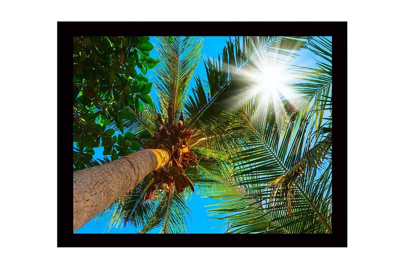 Seinäkoriste Kehystetty MDF Maalaus, undefined