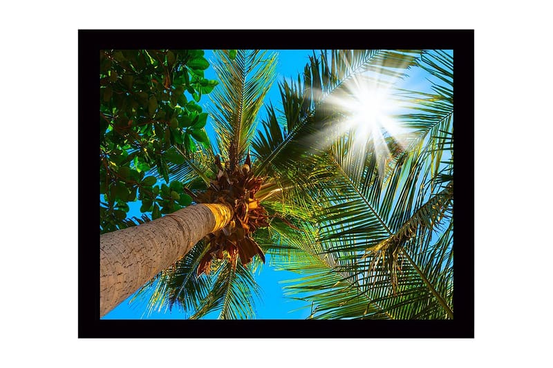 Seinäkoriste Kehystetty MDF Maalaus - Sisustustuotteet - Taulu & taide - Canvas-taulu