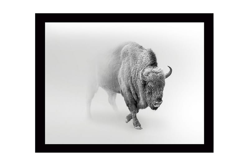 Seinäkoriste Kehystetty MDF Maalaus, undefined