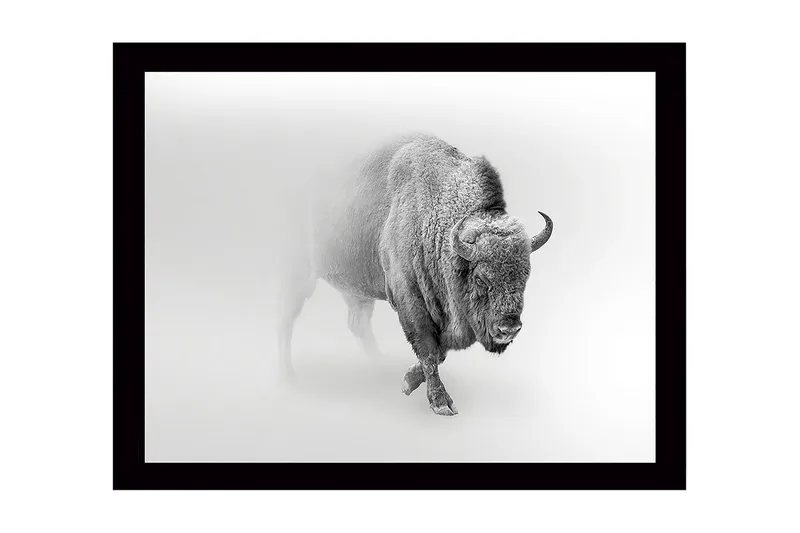 Seinäkoriste Kehystetty MDF Maalaus, undefined