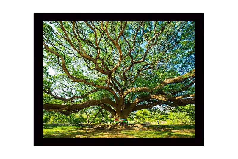 Seinäkoriste Kehystetty MDF Maalaus, undefined