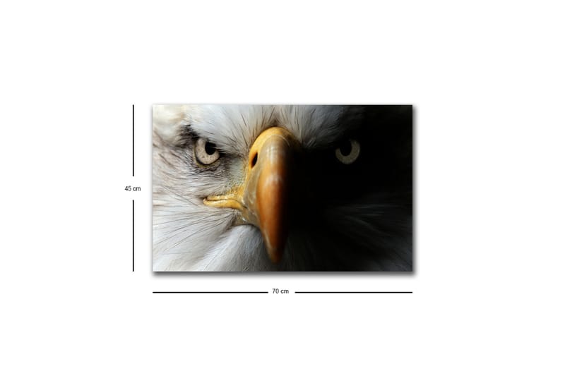 Seinäkoriste LED-valaistu Canvas Maalaus - Sisustustuotteet - Taulu & taide - Canvas-taulu