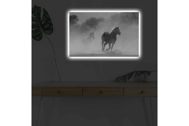 Seinäkoriste LED-valaistu Canvas Maalaus - Sisustustuotteet - Taulu & taide - Canvas-taulu
