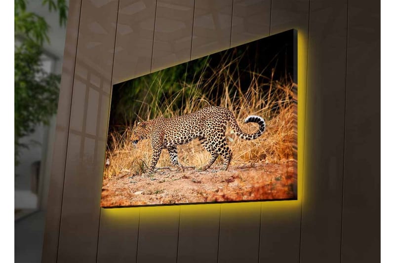Seinäkoriste LED-valaistu Canvas Maalaus - Sisustustuotteet - Taulu & taide - Canvas-taulu