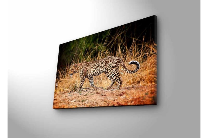 Seinäkoriste LED-valaistu Canvas Maalaus - Sisustustuotteet - Taulu & taide - Canvas-taulu