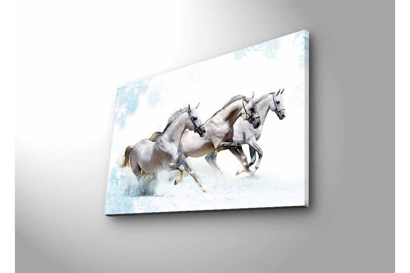 Seinäkoriste LED-valaistu Canvas Maalaus - Sisustustuotteet - Taulu & taide - Canvas-taulu