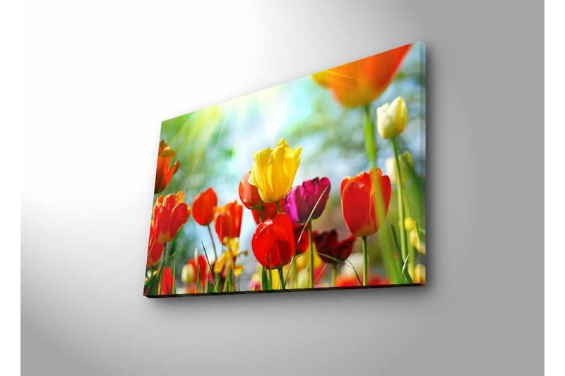 Seinäkoriste LED-valaistu Canvas Maalaus - Sisustustuotteet - Taulu & taide - Canvas-taulu