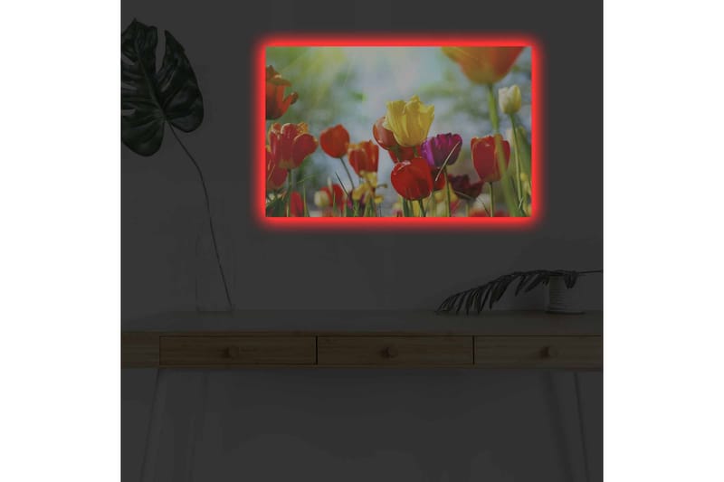 Seinäkoriste LED-valaistu Canvas Maalaus - Canvas-taulu - Seinäkoristeet