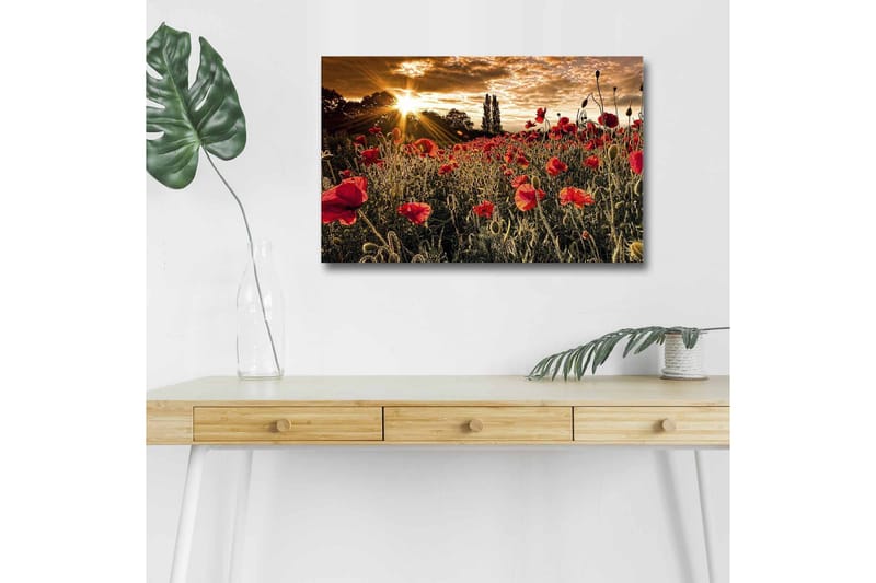 Seinäkoriste LED-valaistu Canvas Maalaus - Sisustustuotteet - Taulu & taide - Canvas-taulu