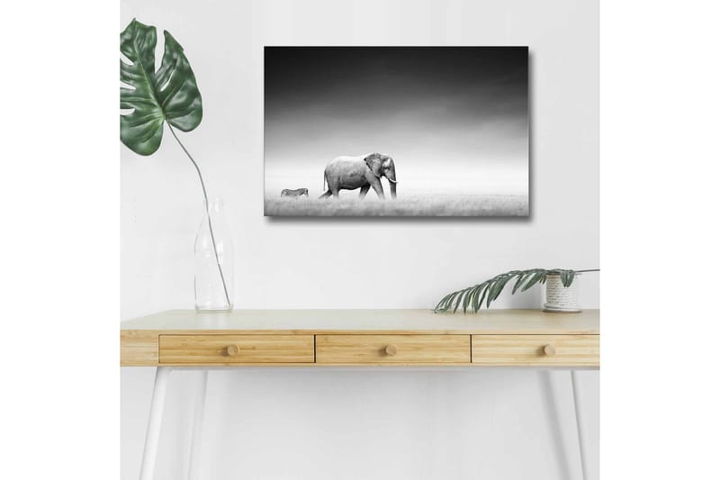 Seinäkoriste LED-valaistu Canvas Maalaus - Sisustustuotteet - Taulu & taide - Canvas-taulu
