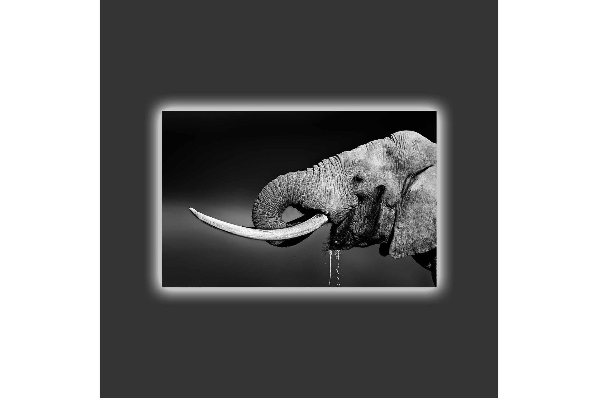 Seinäkoriste LED-valaistu Canvas Maalaus - Sisustustuotteet - Taulu & taide - Canvas-taulu