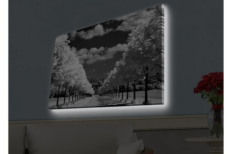 Seinäkoriste LED-valaistu Canvas Maalaus - Sisustustuotteet - Taulu & taide - Canvas-taulu