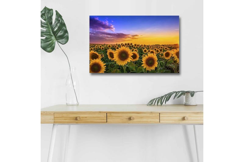 Seinäkoriste LED-valaistu Canvas Maalaus - Sisustustuotteet - Taulu & taide - Canvas-taulu