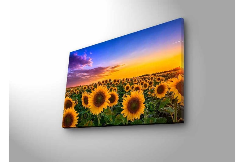 Seinäkoriste LED-valaistu Canvas Maalaus - Sisustustuotteet - Taulu & taide - Canvas-taulu