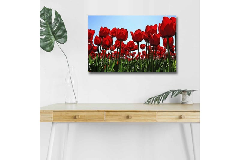 Seinäkoriste LED-valaistu Canvas Maalaus - Sisustustuotteet - Taulu & taide - Canvas-taulu