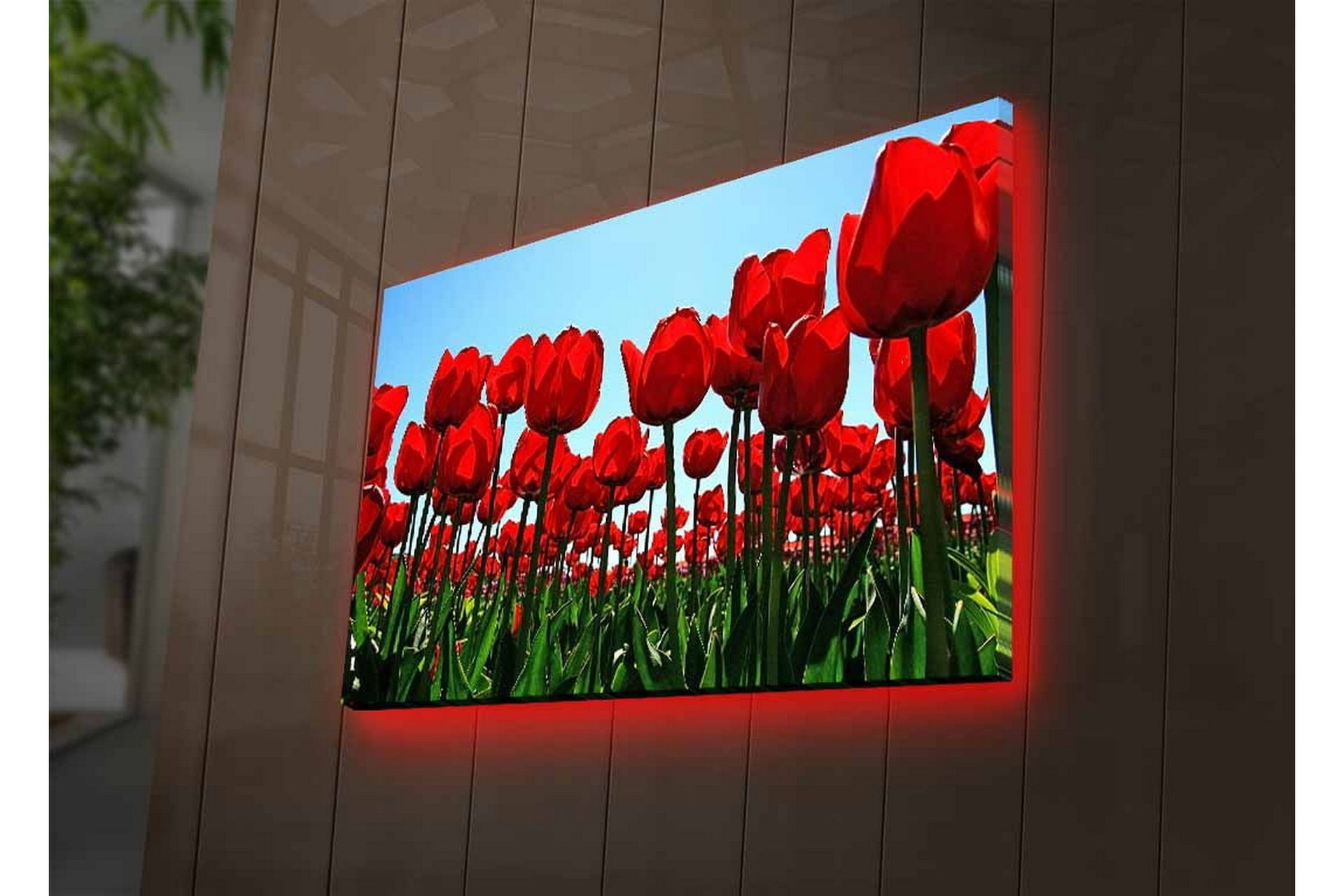 Seinäkoriste LED-valaistu Canvas Maalaus - Sisustustuotteet - Taulu & taide - Canvas-taulu