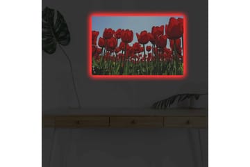Seinäkoriste LED-valaistu Canvas Maalaus - Sisustustuotteet - Taulu & taide - Canvas-taulu